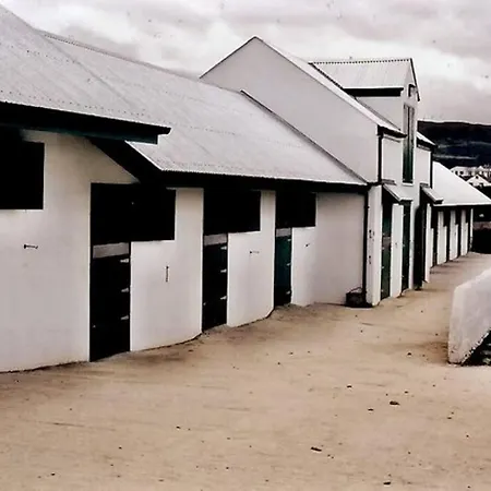 Stable View, Clara Meadows Dunfanghy