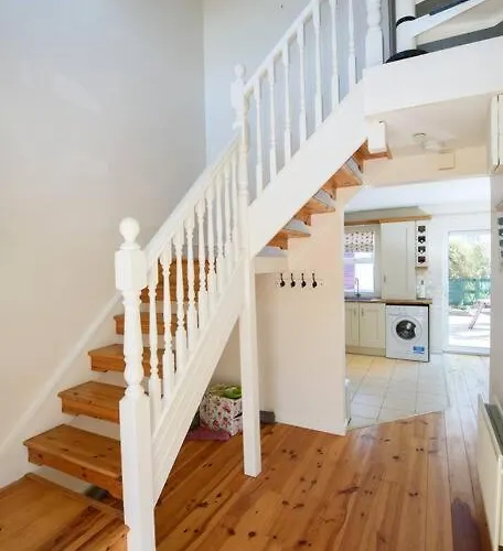 Stable View, Clara Meadows Dunfanghy *